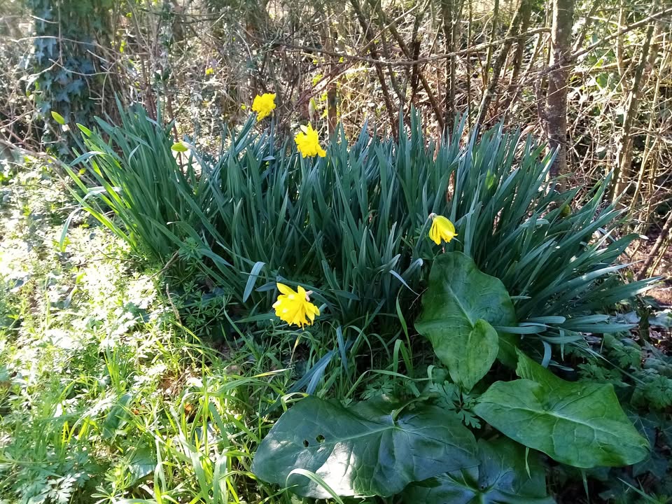 Cultive ta vie au Domaine de La Barre - Ferme Saint Michel